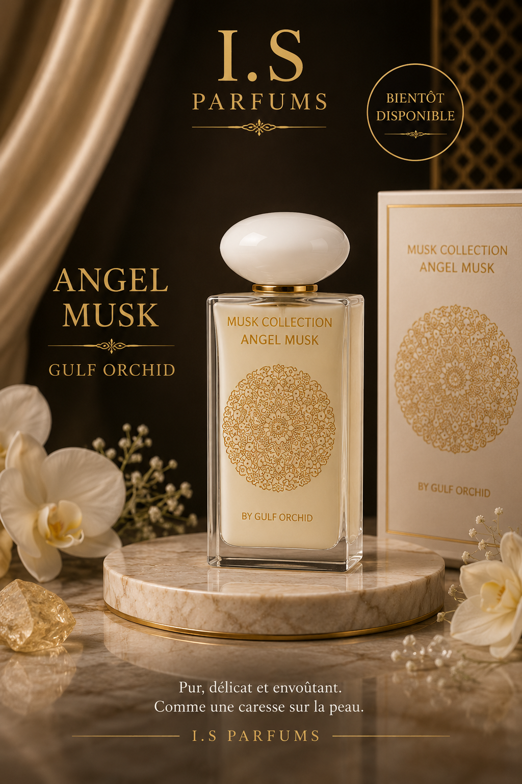 Gulf Orchid - Angel Musk